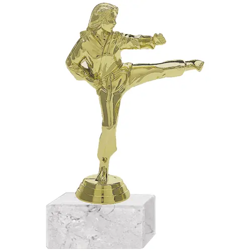 Trofeo Plástico Karate Femenino 2 (198)   18 cms.