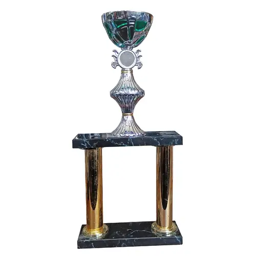 Copa ERI12   41 cms.