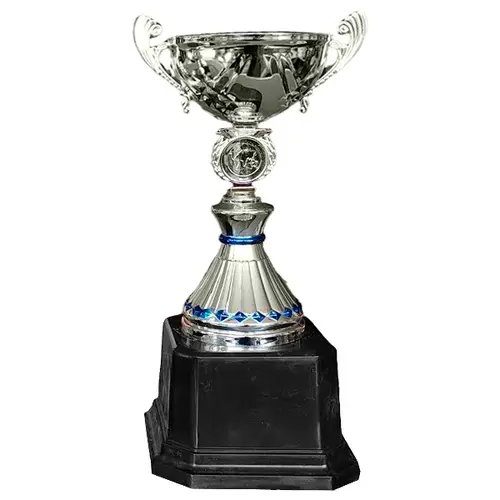 Copa VIC