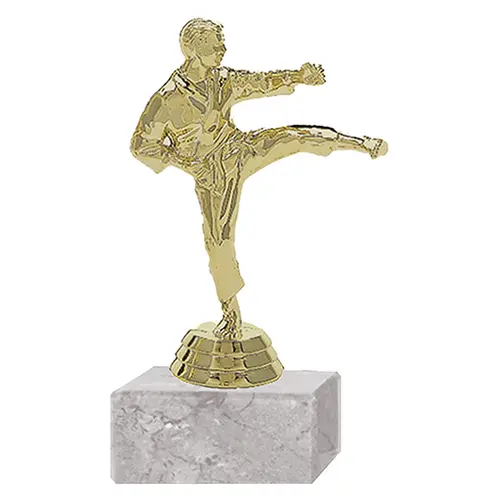 Trofeo Plástico Karate Masculino (143)   14 cms.