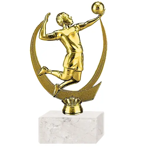 Trofeo Plástico FR Vóleibol Jugador (312)   19 cms.