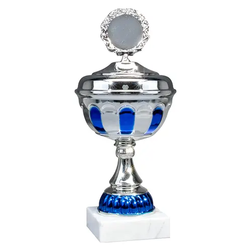 Copa E894   31,5 cms.