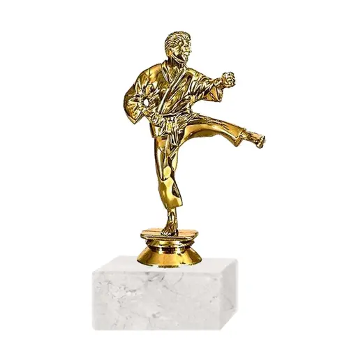 Trofeo Plástico FR Karate Grande (328)   18 cms.