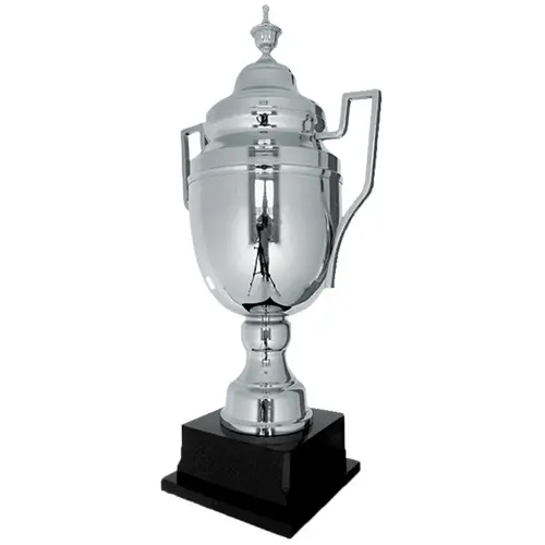 Copa YX 2313