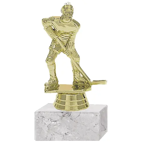 Trofeo Plástico Hockey Hielo Masculino (174)   8 cms.