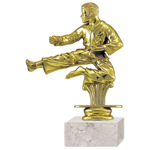 Trofeo Plástico Karate RP-8416 (34)   15 cms.