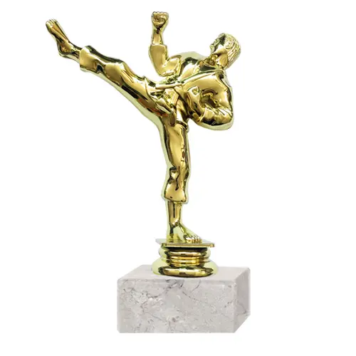 Trofeo Plástico Artes Marciales RP-8015 (67)  18 cms.
