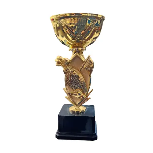 Copa GOLF10   28 cms.