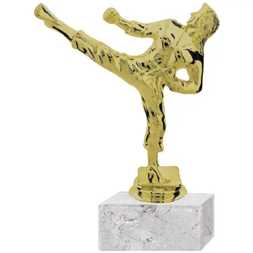 Trofeo Plástico Karate Femenino (141)   13,5 cms.