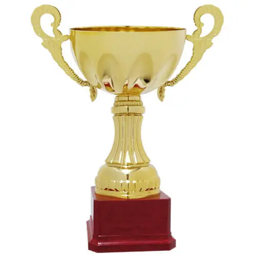 Copa C6