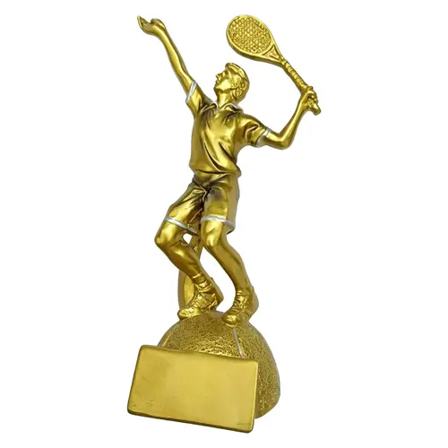 Trofeo Resina Tenista Masculino TEN15   21 cms.