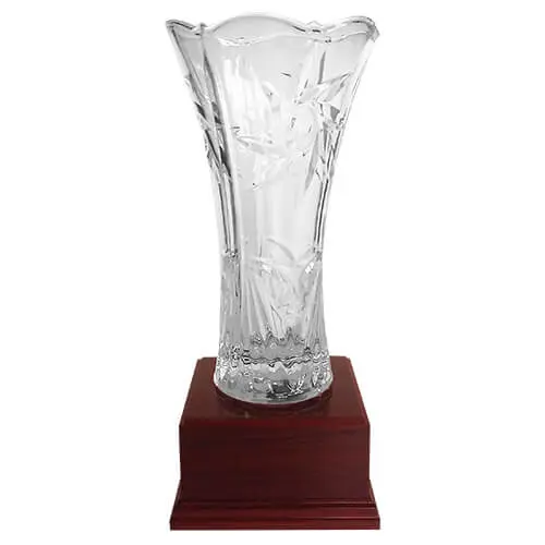 Copa DBR   30 cms.