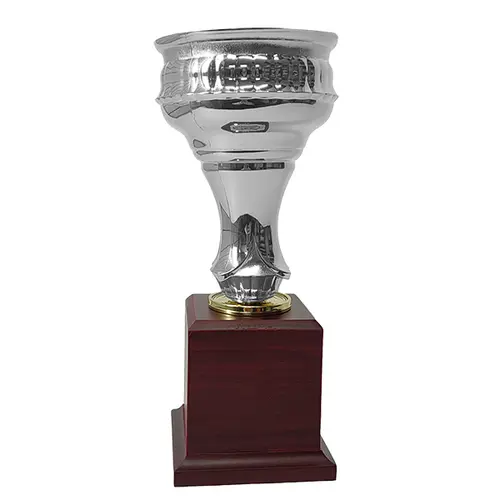 Copa CP22
